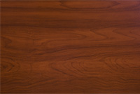 Oiled Cherry Oiled Cherry